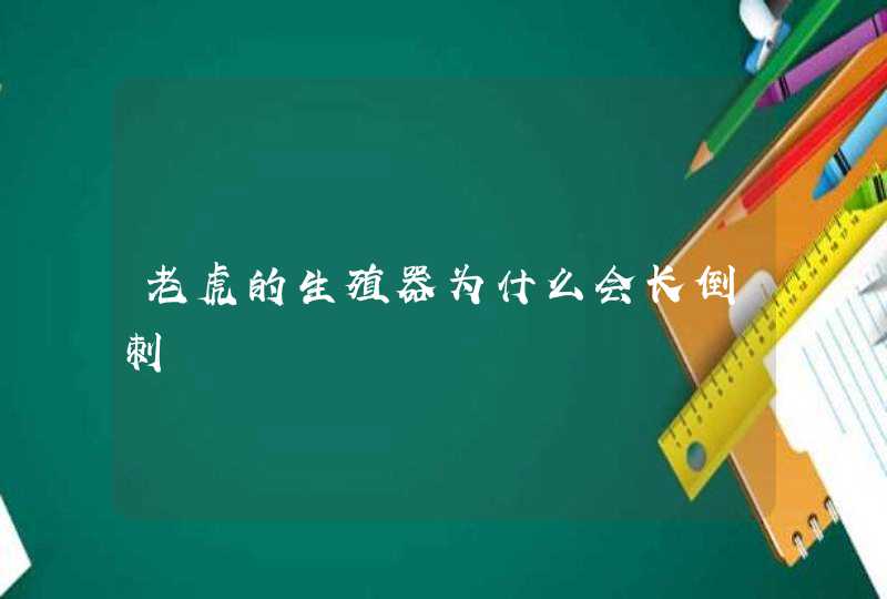 老虎的生殖器为什么会长倒刺,第1张