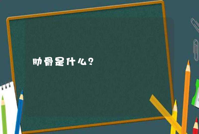 肋骨是什么？,第1张