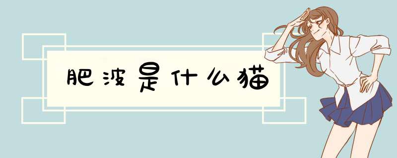 肥波是什么猫,第1张