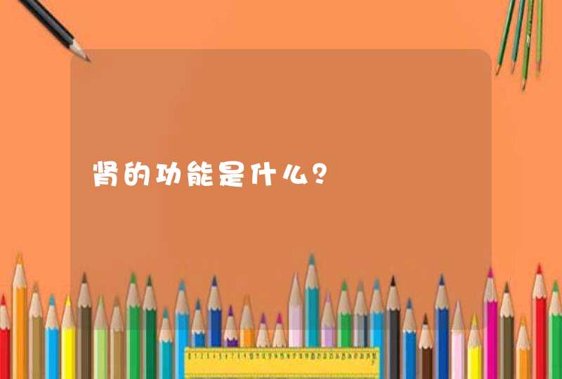 肾的功能是什么？,第1张