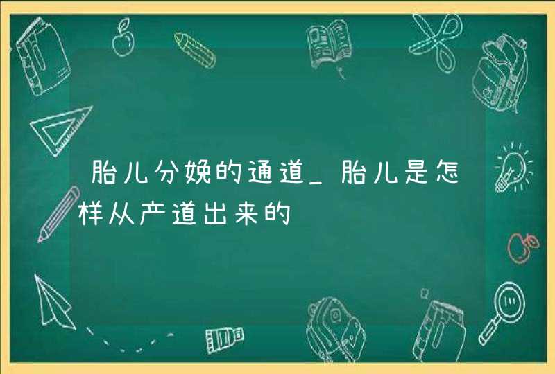 胎儿分娩的通道_胎儿是怎样从产道出来的,第1张