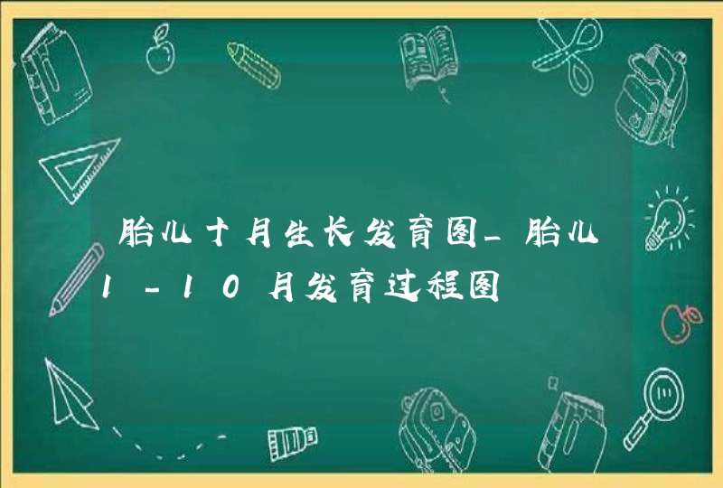 胎儿十月生长发育图_胎儿1-10月发育过程图,第1张