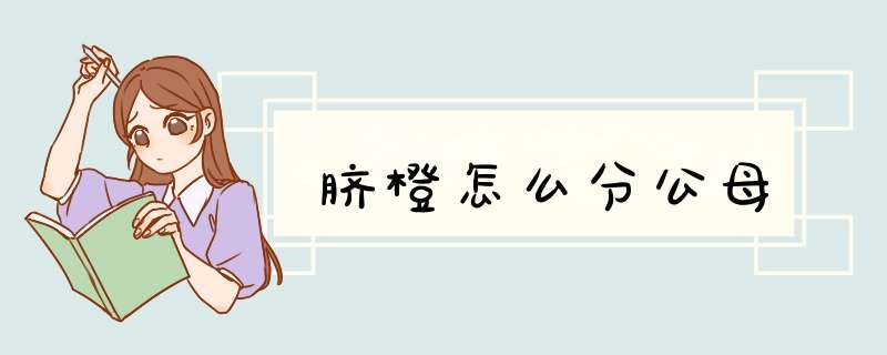 脐橙怎么分公母,第1张