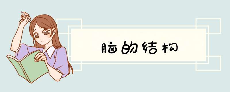 脑的结构,第1张 脑的结构,第1张