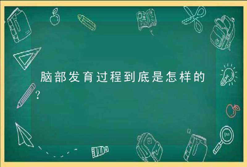 脑部发育过程到底是怎样的？,第1张