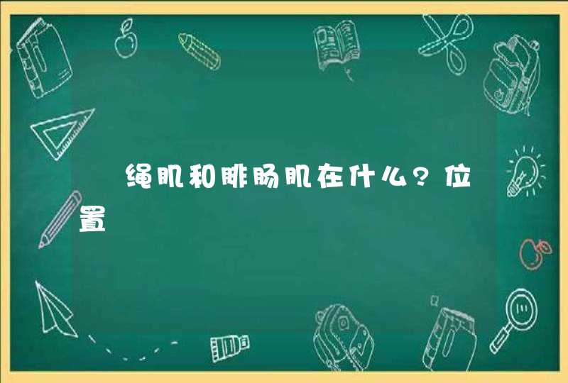 腘绳肌和腓肠肌在什么?位置,第1张