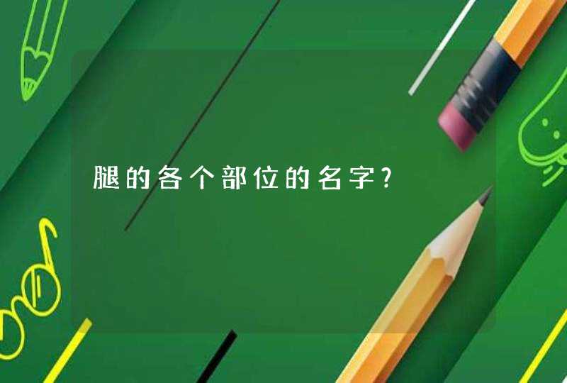 腿的各个部位的名字？,第1张