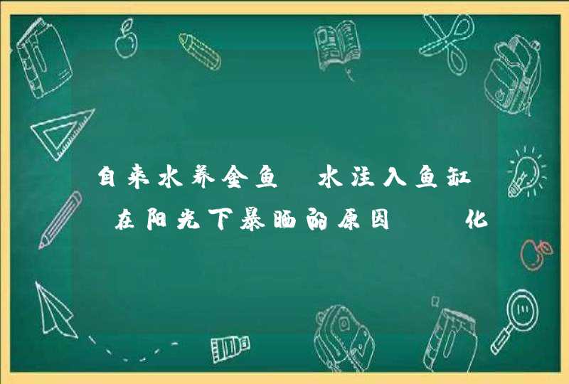 自来水养金鱼，水注入鱼缸前在阳光下暴晒的原因——化学题,第1张