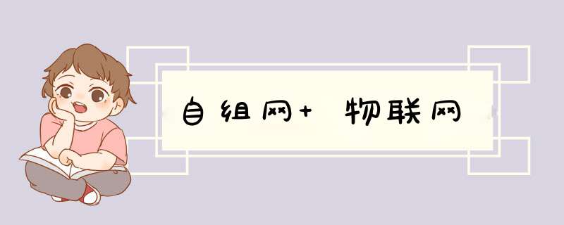 自组网 物联网,第1张