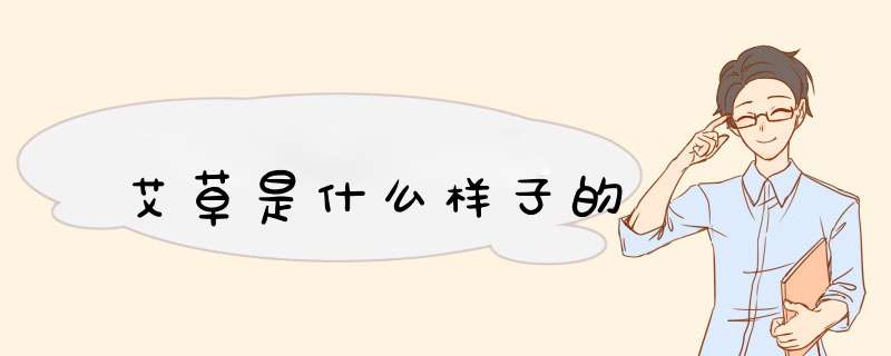 艾草是什么样子的,第1张