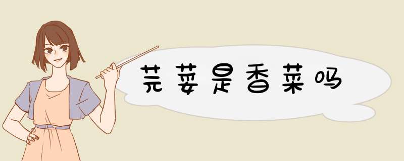 芫荽是香菜吗,第1张