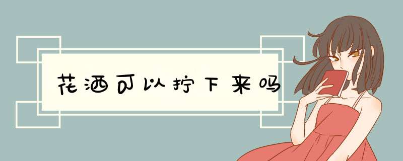 花洒可以拧下来吗,第1张