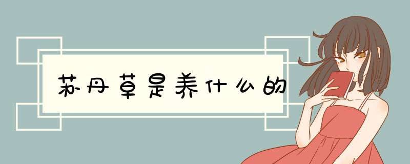 苏丹草是养什么的,第1张