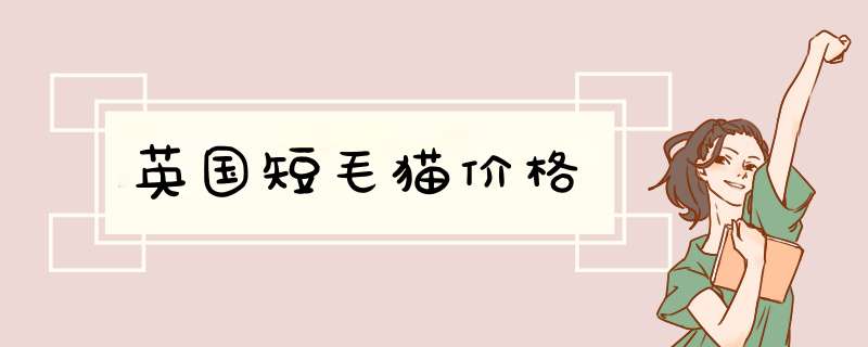 英国短毛猫价格,第1张