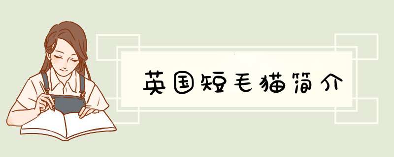 英国短毛猫简介,第1张