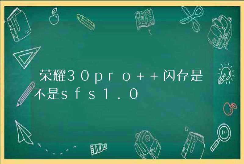 荣耀30pro+ 闪存是不是sfs1.0,第1张