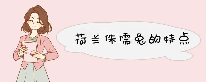 荷兰侏儒兔的特点,第1张