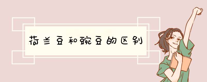 荷兰豆和豌豆的区别,第1张