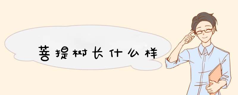 菩提树长什么样,第1张