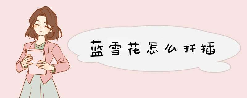 蓝雪花怎么扦插,第1张