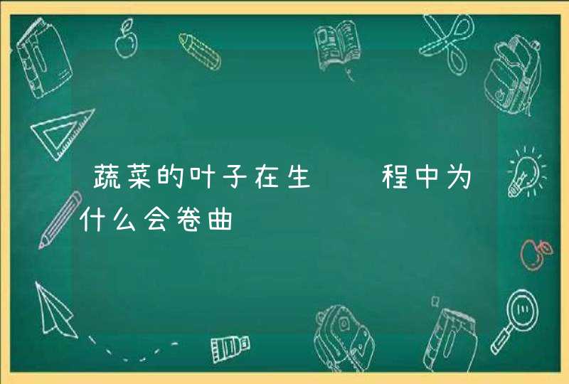 蔬菜的叶子在生长过程中为什么会卷曲,第1张