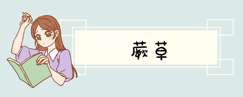 蕨草,第1张