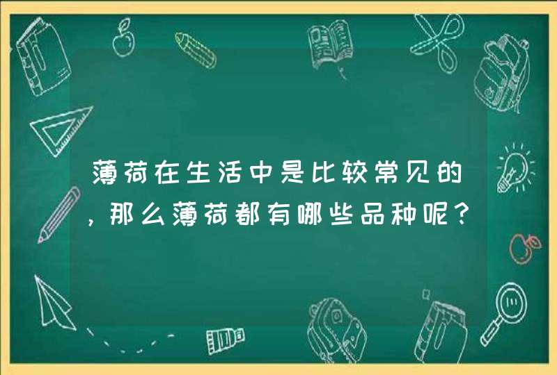 薄荷在生活中是比较常见的，那么薄荷都有哪些品种呢？,第1张