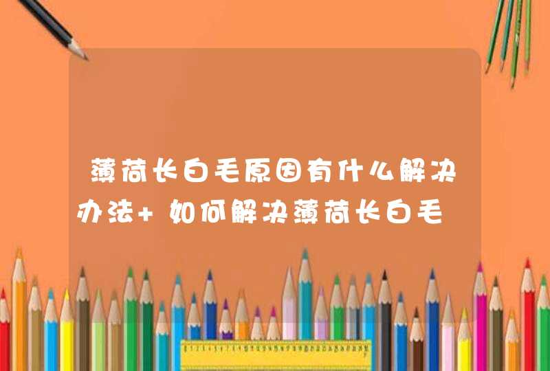 薄荷长白毛原因有什么解决办法 如何解决薄荷长白毛,第1张