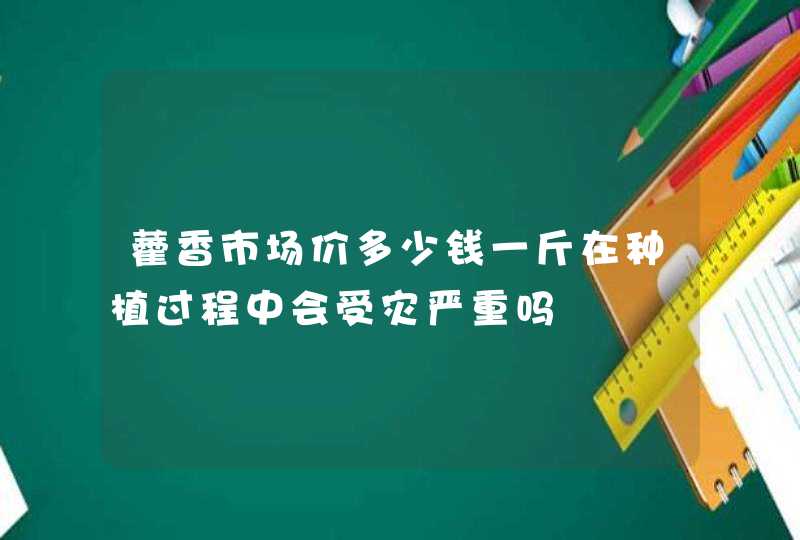 藿香市场价多少钱一斤在种植过程中会受灾严重吗,第1张