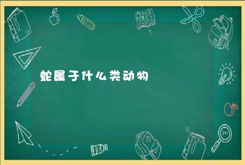 蛇属于什么类动物,第1张