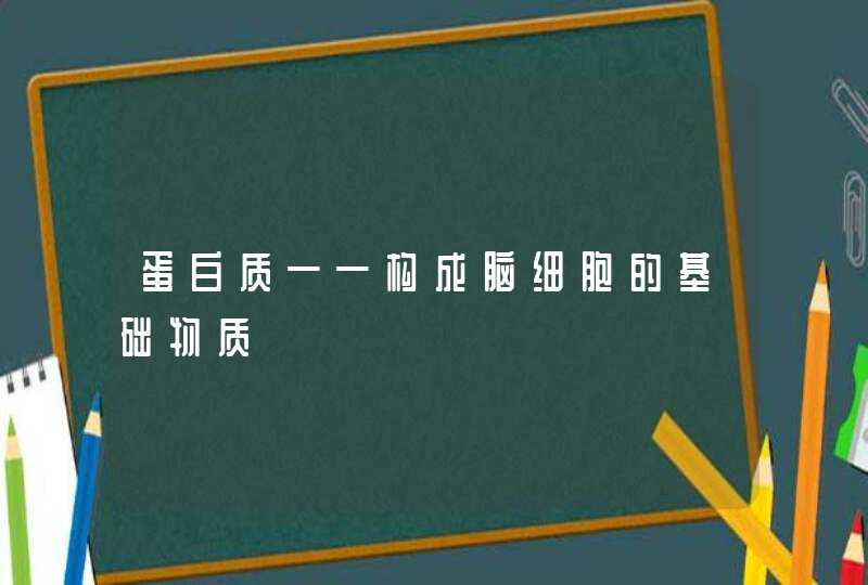 蛋白质——构成脑细胞的基础物质,第1张