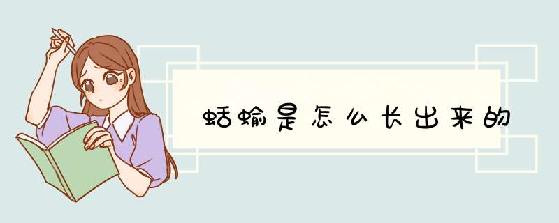 蛞蝓是怎么长出来的,第1张