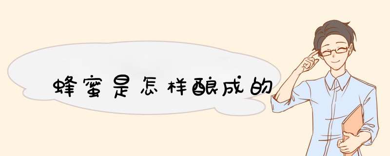 蜂蜜是怎样酿成的,第1张