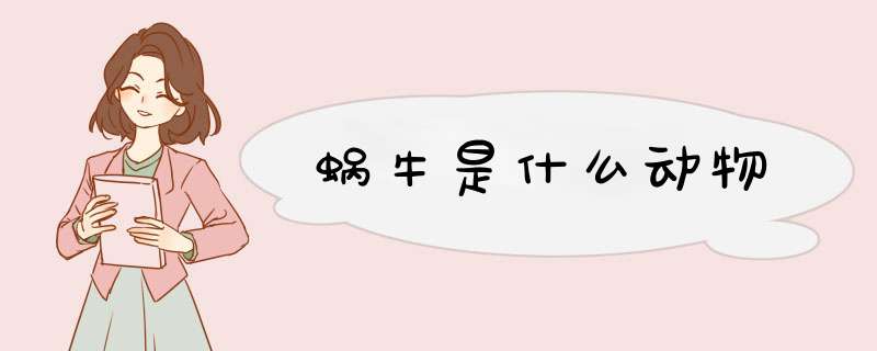 蜗牛是什么动物,第1张 蜗牛是什么动物,第1张