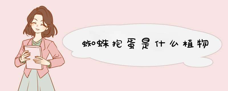 蜘蛛抱蛋是什么植物,第1张