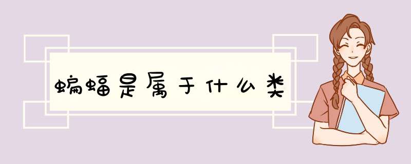 蝙蝠是属于什么类,第1张 蝙蝠是属于什么类,第1张