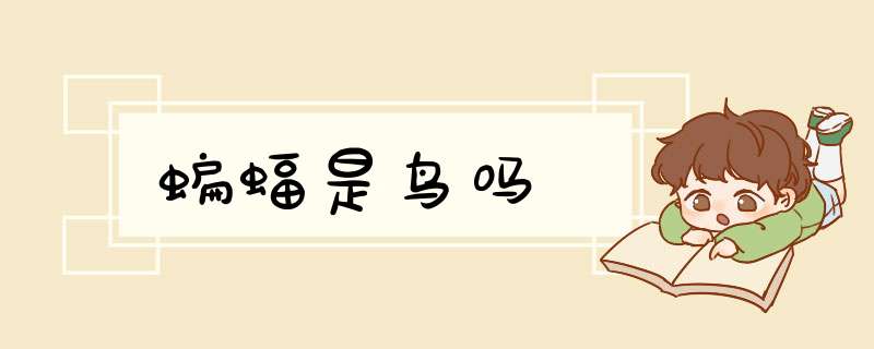 蝙蝠是鸟吗,第1张 蝙蝠是鸟吗,第1张