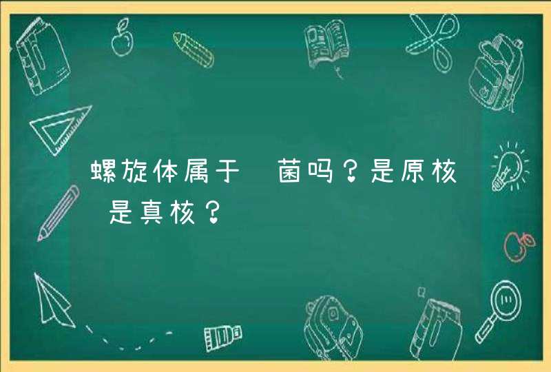 螺旋体属于细菌吗？是原核还是真核？,第1张