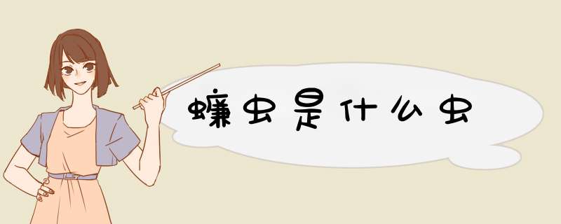 蠊虫是什么虫,第1张