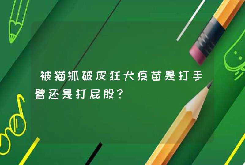 被猫抓破皮狂犬疫苗是打手臂还是打屁股?,第1张