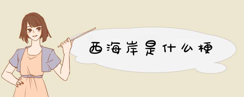 西海岸是什么梗,第1张