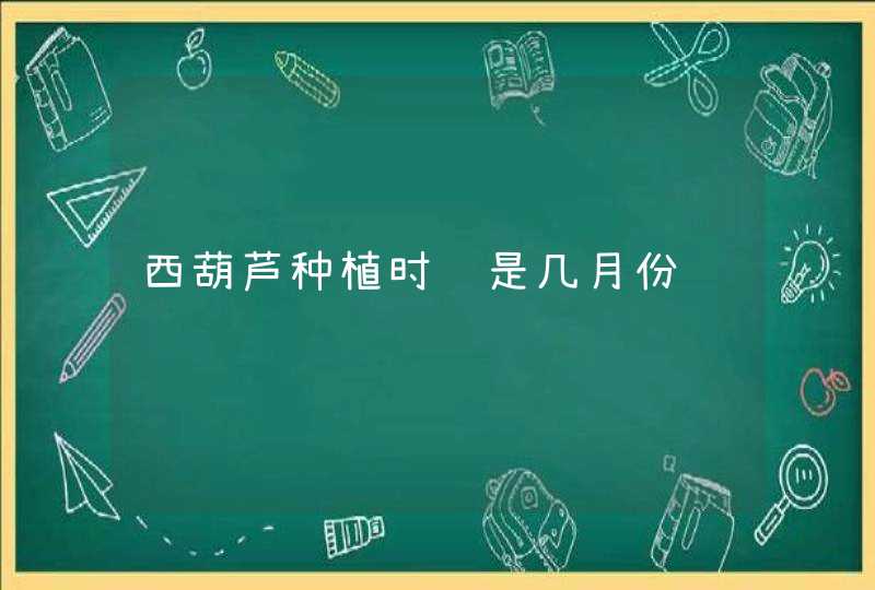 西葫芦种植时间是几月份,第1张