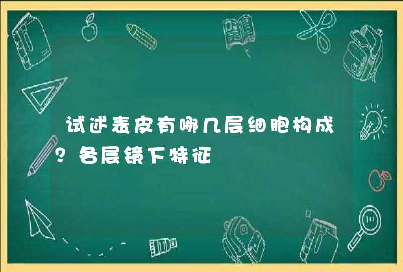 试述表皮有哪几层细胞构成？各层镜下特征,第1张