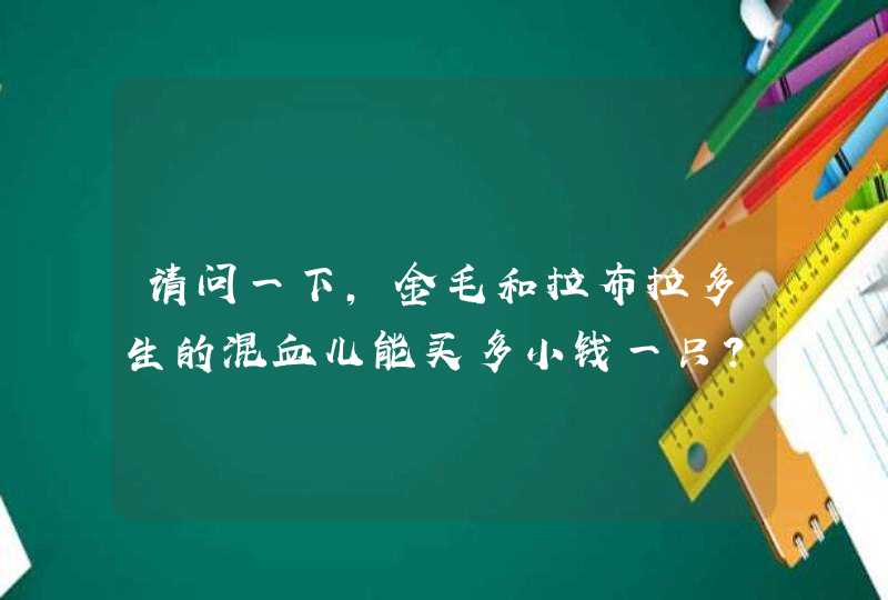 请问一下，金毛和拉布拉多生的混血儿能买多小钱一只？,第1张