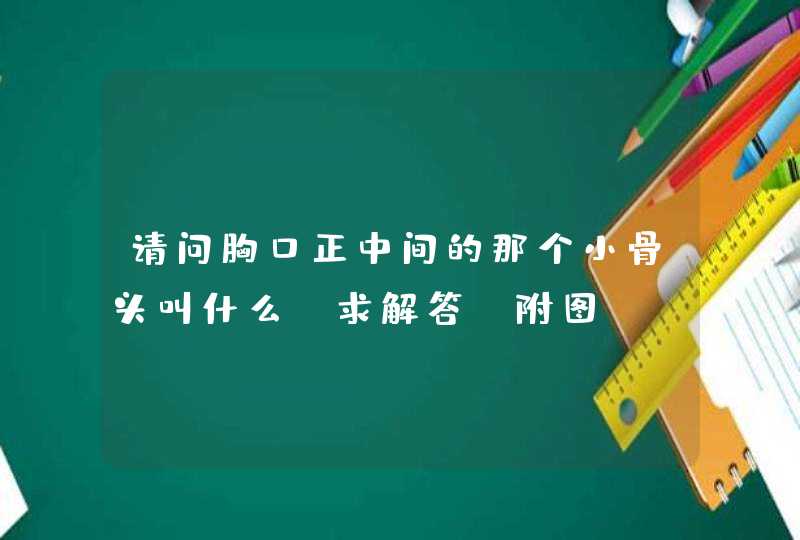 请问胸口正中间的那个小骨头叫什么，求解答！附图！,第1张