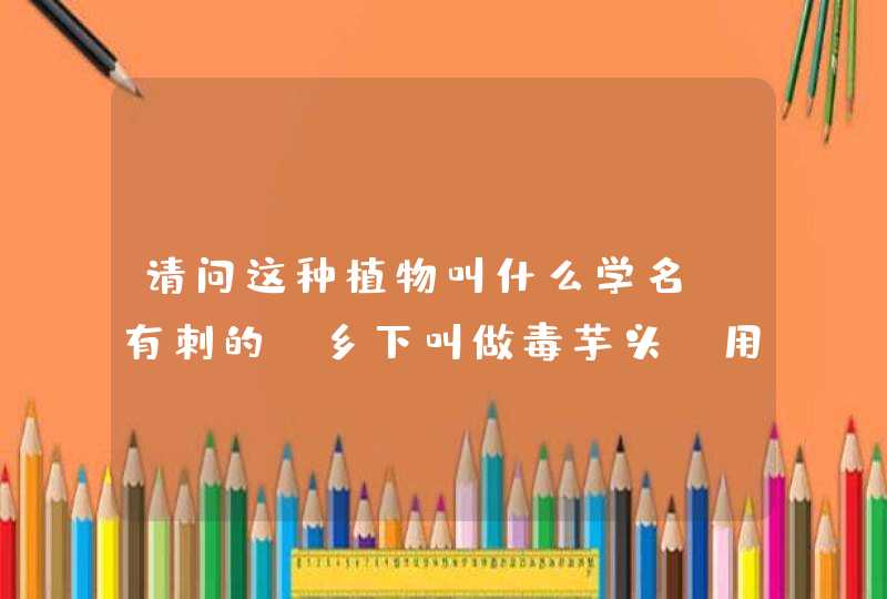 请问这种植物叫什么学名？有刺的，乡下叫做毒芋头，用来煮水喝可以拔毒，可以治疗肝腹水，请看图片,第1张