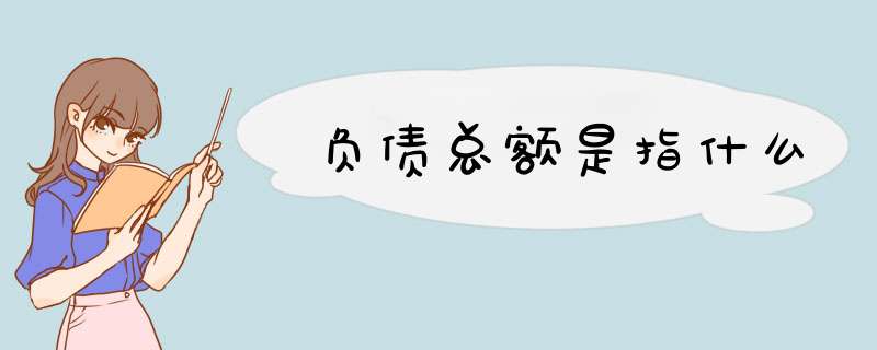 负债总额是指什么,第1张