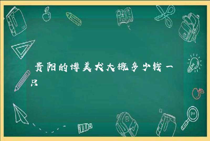 贵阳的博美犬大概多少钱一只,第1张