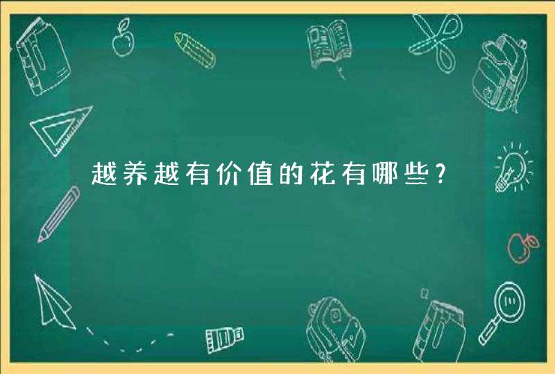 越养越有价值的花有哪些？,第1张