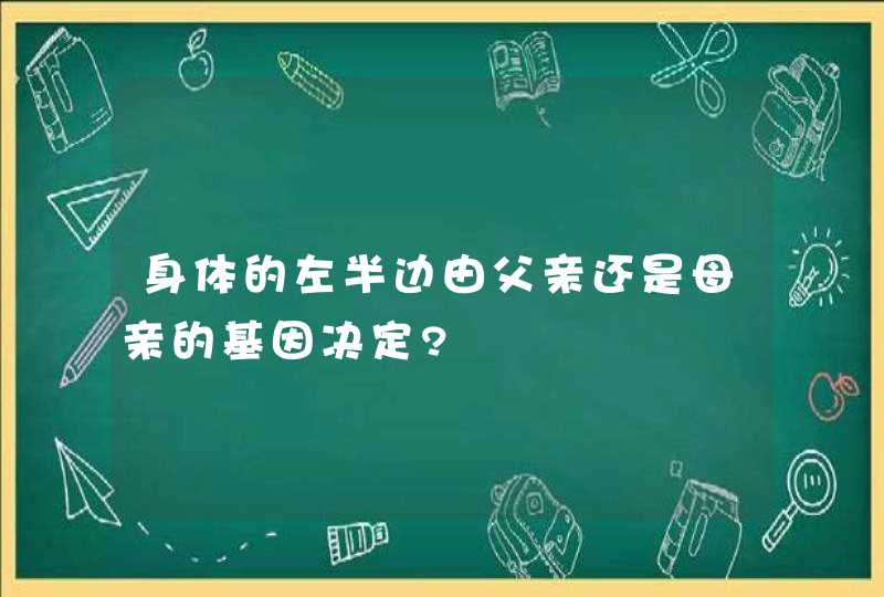 身体的左半边由父亲还是母亲的基因决定?,第1张